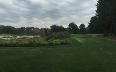 Our view for the day! Me and @ckeefe9 holding down the fort at the 3rd hole. #raffle #beer #closesttothepin #getonthegreen