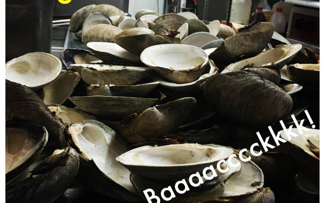 Quahogs are here! Let’s Go! #Waltham #lunch #dinner #snack #seafood #beer #wehavefunhere . . . . #drinks #beer #cocktails #restaurant #instagood #party #cocktail #food #pub #friends #wine #music #fun #night #photooftheday #nightlife #drinkup #bartender #thirsty #glass #thirst #boston #waltham #manchester #bar