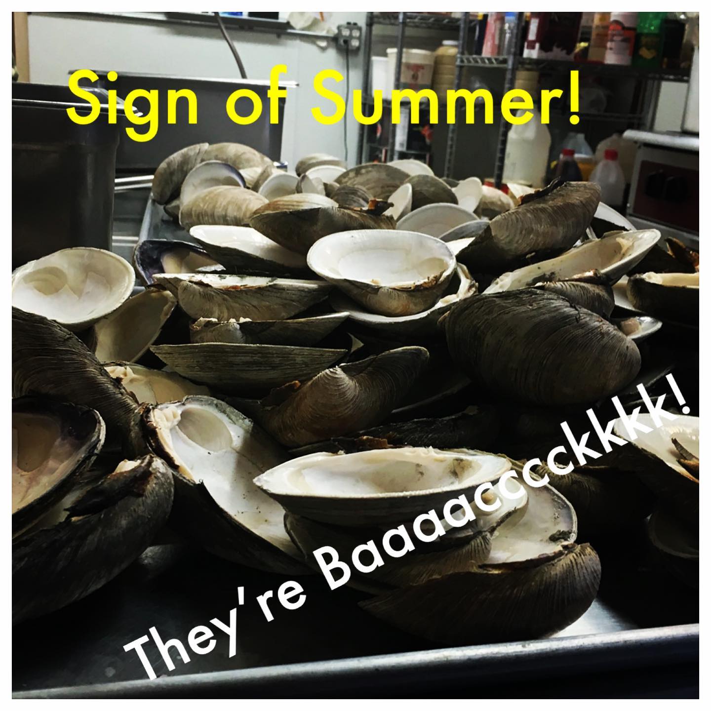 Quahogs are here! Let’s Go! .
.
.
.