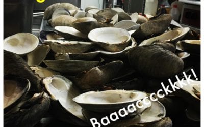 Quahogs are here! Let’s Go! #Waltham #lunch #dinner #snack #seafood #beer #wehavefunhere . . . . #drinks #beer #cocktails #restaurant #instagood #party #cocktail #food #pub #friends #wine #music #fun #night #photooftheday #nightlife #drinkup #bartender #thirsty #glass #thirst #boston #waltham #manchester #bar