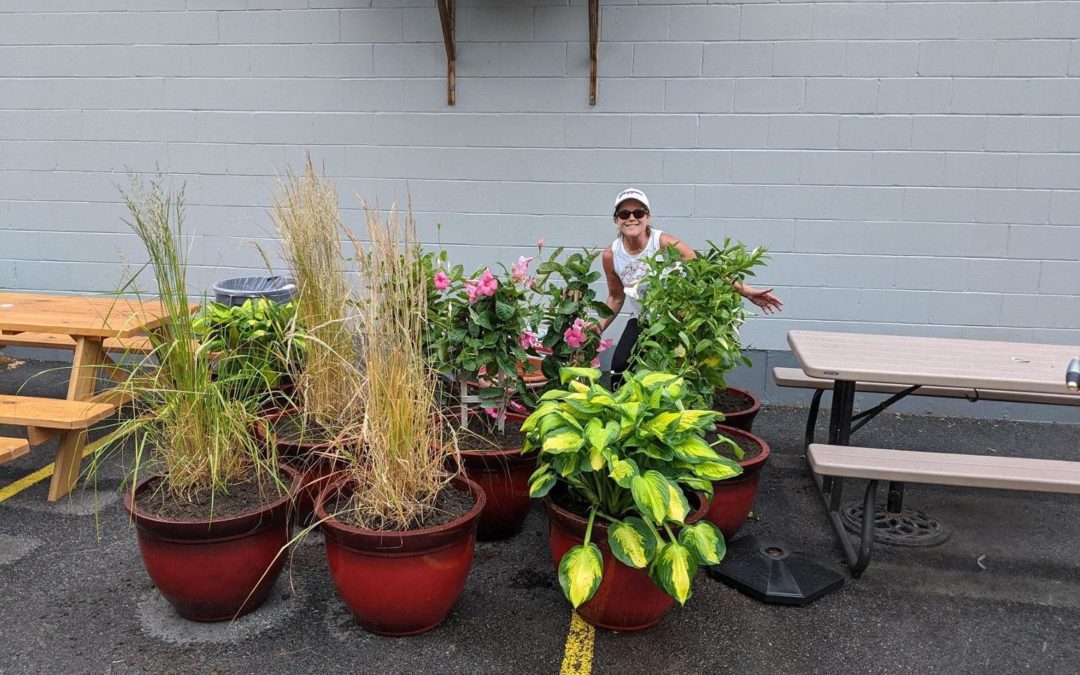 Huge THANK YOU to the Boss Lady @llacava64 for making it her mission today to spruce up the parking lot for our patrons! IS IT MONDAY YET??? #waltham #outdoordining #parkinglotparty #newnormal #moodyst #shoppers