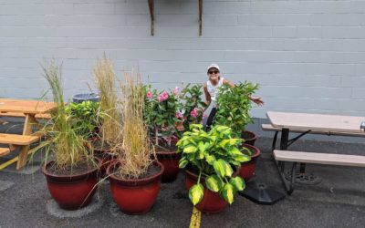 Huge THANK YOU to the Boss Lady @llacava64 for making it her mission today to spruce up the parking lot for our patrons! IS IT MONDAY YET??? #waltham #outdoordining #parkinglotparty #newnormal #moodyst #shoppers