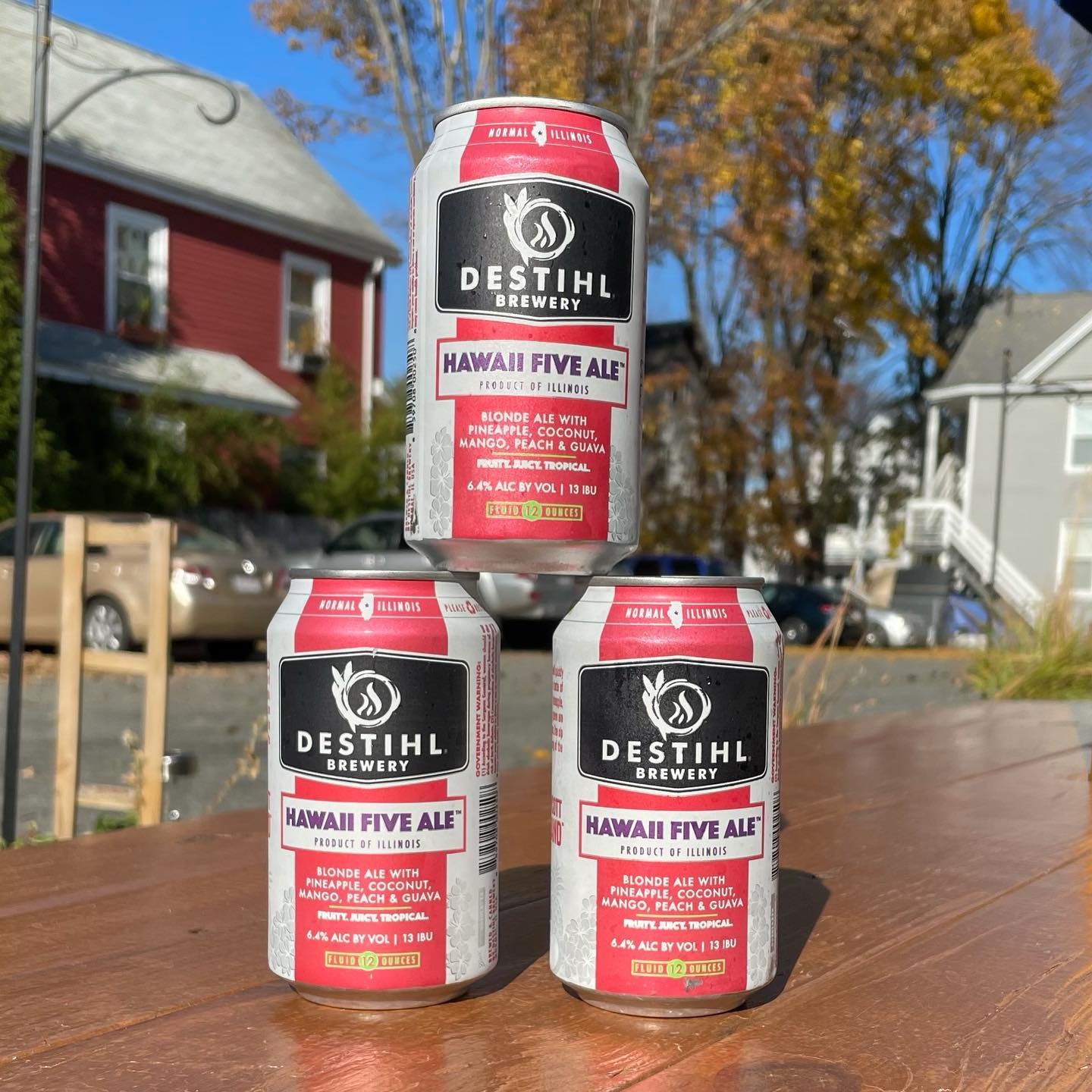 Beautiful day for a beer outside. On special, Destihl Brewery Hawaii Five Ale 12oz cans for $4Meatloaf Dinner & Meatball Subs on the board today!$7.95 Large Cheese Pizzas 5PM until close, toppings extra, not available for take out.