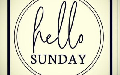 Sunday Funday. We’re open today from 12PM – 9:30PM. Come see us for lunch or dinner. Maybe a drink or 2. Or give us a call for Take Out! With the new guidelines in place, we are asking everyone to please wait to be seated. We are being held to strict capacity and need everyone’s cooperation during these two weeks. Don’t forget your mask! #shoppers #waltham #moodyst #sundayfunday #pizza #beer #burgers