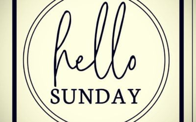 Sunday Funday. We’re open today from 12PM – 9:30PM. Come see us for lunch or dinner. Maybe a drink or 2. Or give us a call for Take Out! With the new guidelines in place, we are asking everyone to please wait to be seated. We are being held to strict capacity and need everyone’s cooperation during these two weeks. Don’t forget your mask! #shoppers #waltham #moodyst #sundayfunday #pizza #beer #burgers