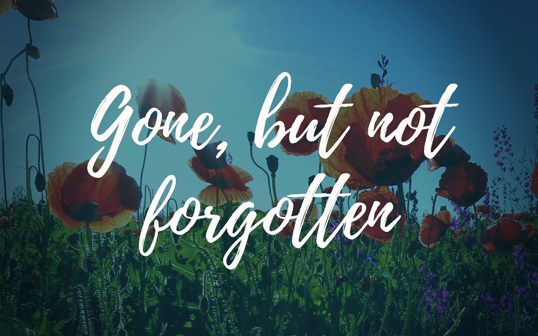 Weekend Hours: Saturday: 11AM – 1AM Sunday: CLOSED Monday: Open at 5PM Have safe weekend. Home of the free because of the brave #shoppers #moodyst #waltham #weekend #memorialday