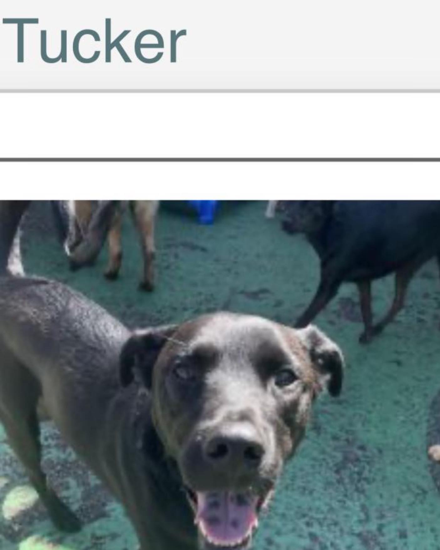    sports bar restaurant waltham ma